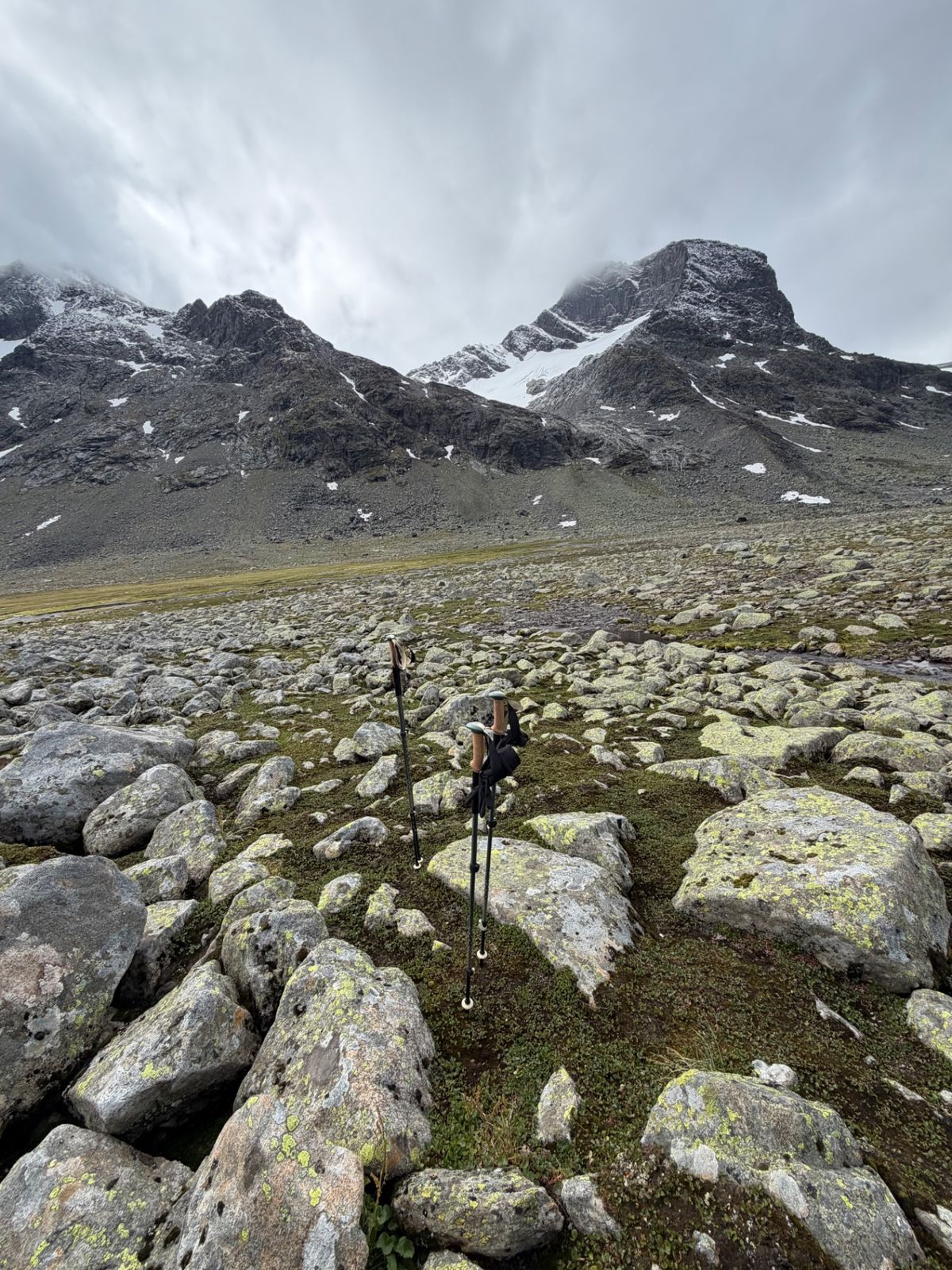 Black Diamond Trail Cork trekking poles among lichen-covered boulders